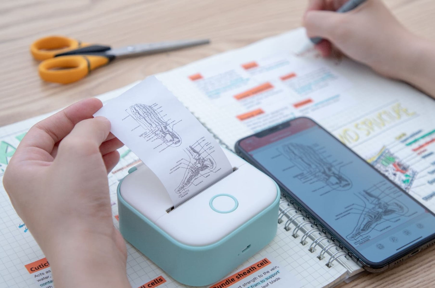 Mini Thermal Sticker Printer